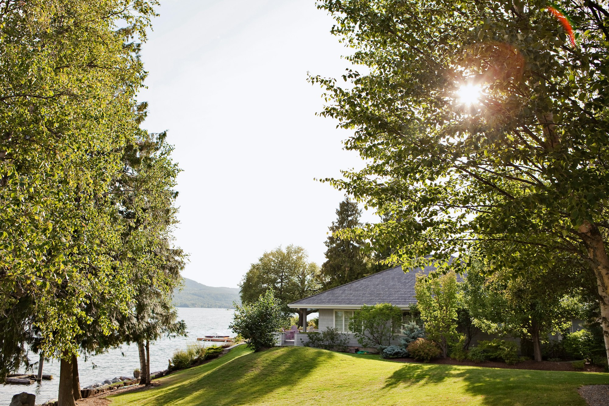 House with trees on lake